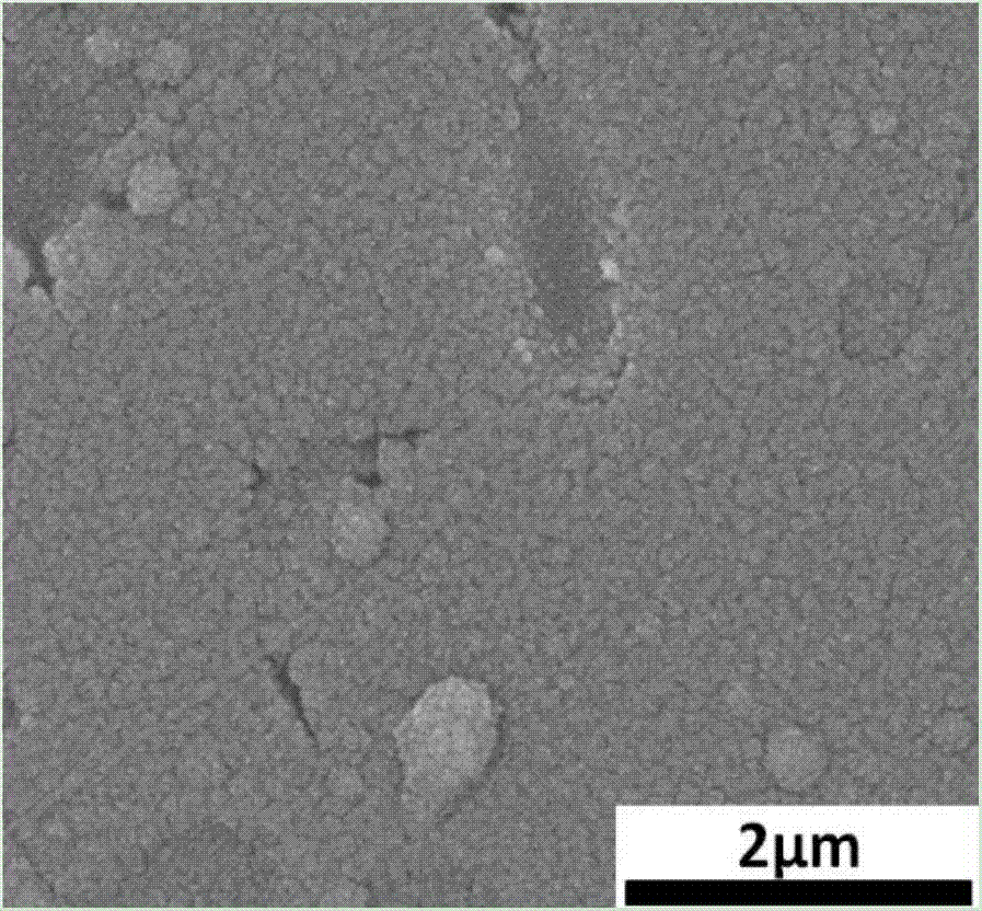 Method for preparing nanosilver/silicon dioxide composite structure coating through pulsed laser deposition