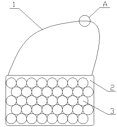 Antibacterial bag capable of being brightened by illumination and having high bag belt strength