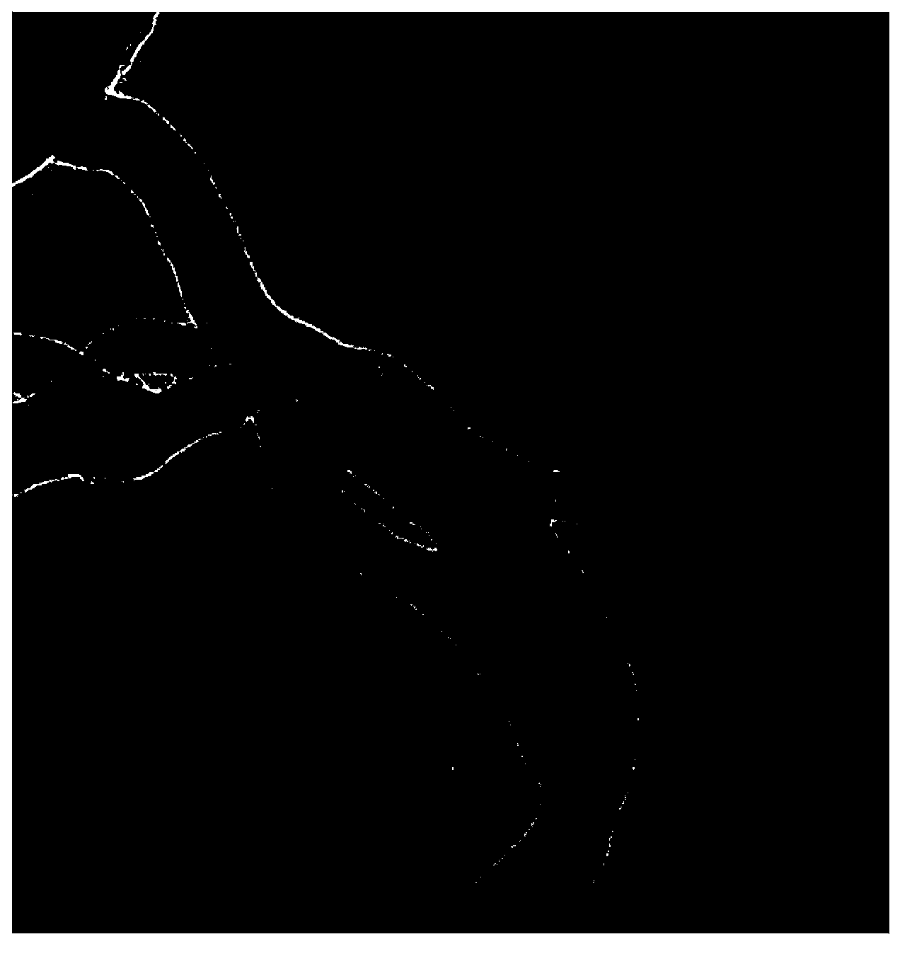 Method for preparing carbon nano tube by sunflower seed skin