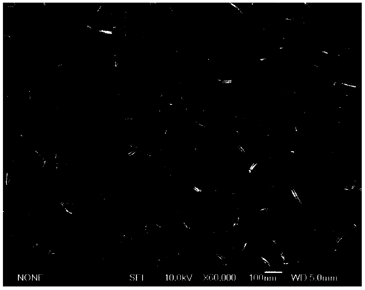 A preparation method of in-situ vertically grown graphene anti-corrosion layer on the surface of zirconium alloy