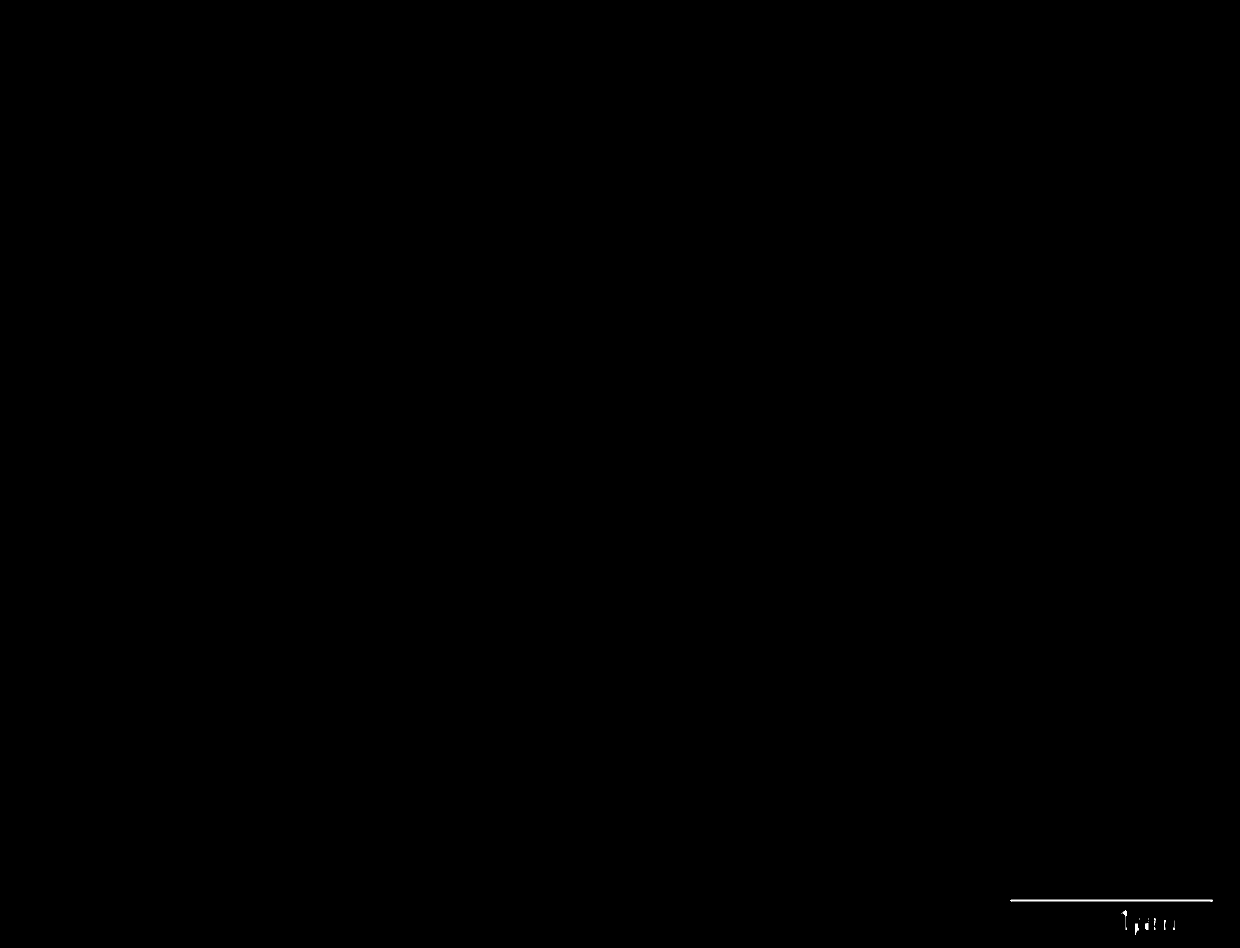 Preparation method for broad-spectrum-response titanium dioxide hollow micro-nanospheres