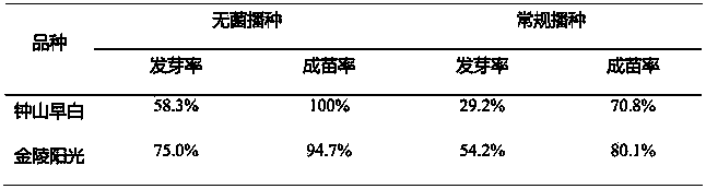 Efficient chrysanthemum cross-breeding method