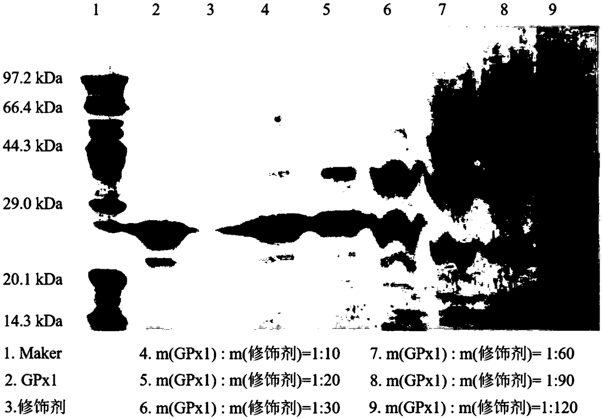 Polyethylene glycol-modified recombinant glutathione peroxidase GPx1 mutant, preparation and antioxidant application methods thereof