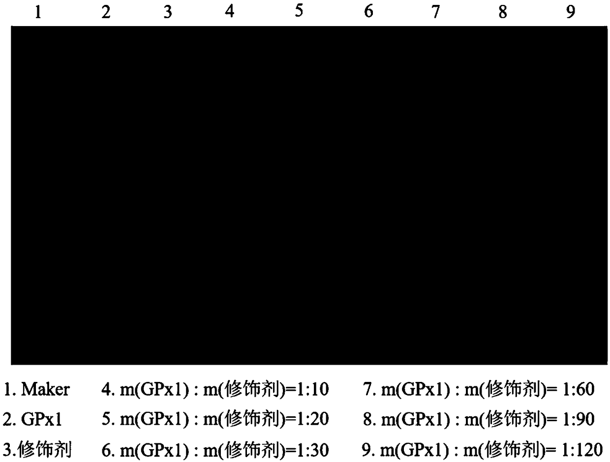 Polyethylene glycol-modified recombinant glutathione peroxidase GPx1 mutant, preparation and antioxidant application methods thereof