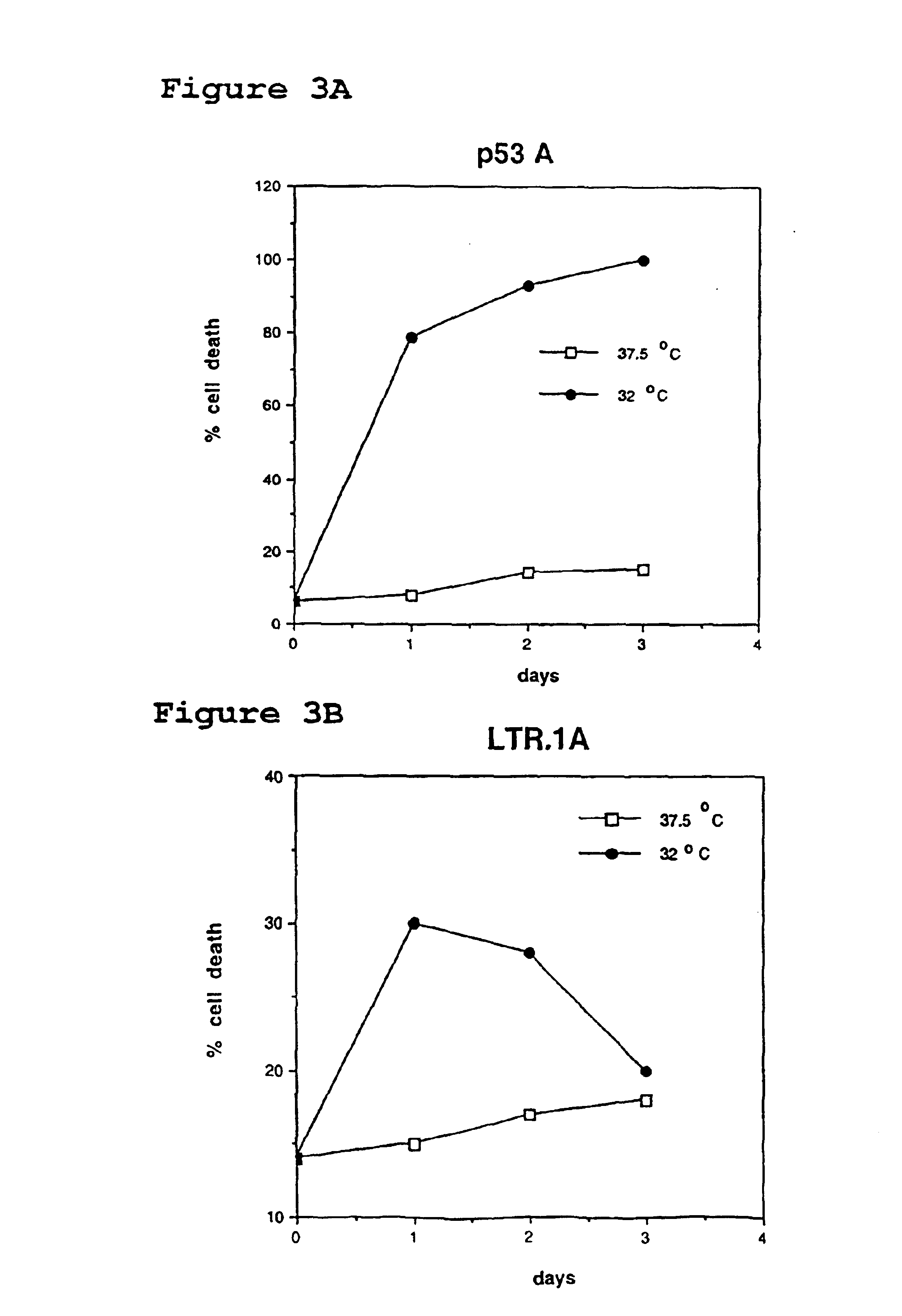 Recombinant cell line and screening method for identifying agents which regulate apoptosis and tumor suppression