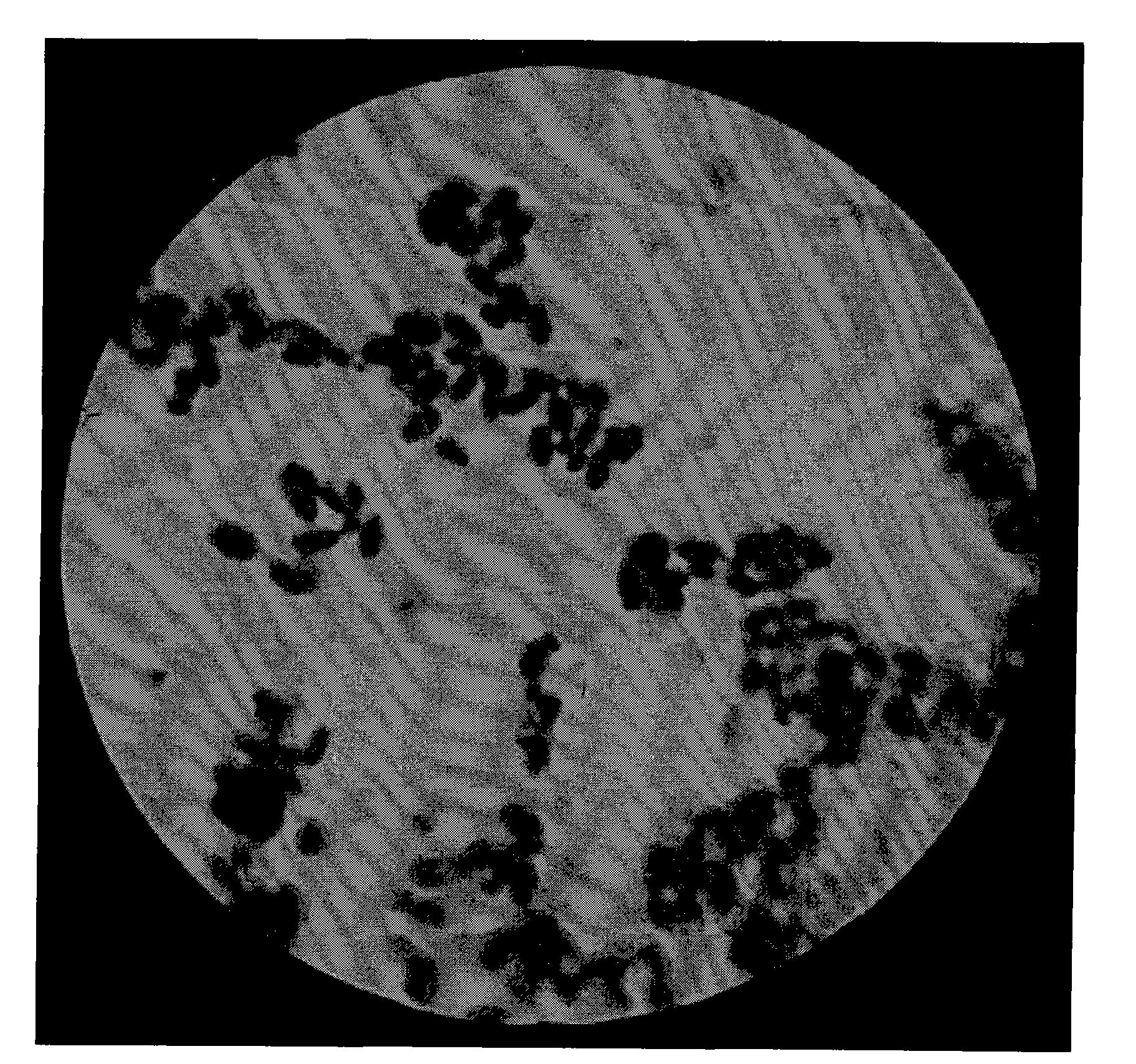 Yeast with strong capacities of tolerating, enriching and converting organic selenium and application thereof