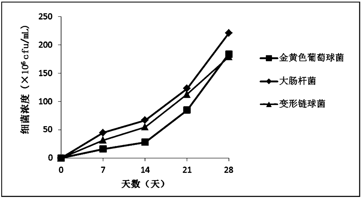 Multi-effect type tooth polishing paste