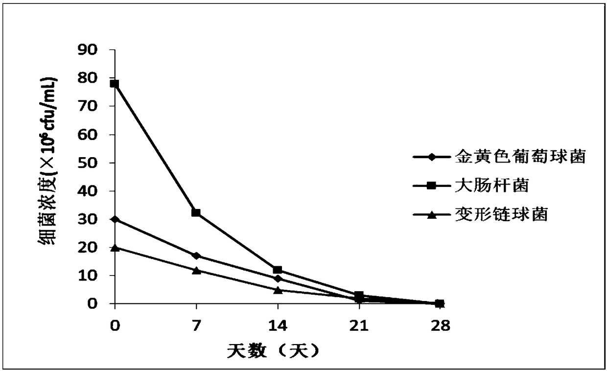 Multi-effect type tooth polishing paste