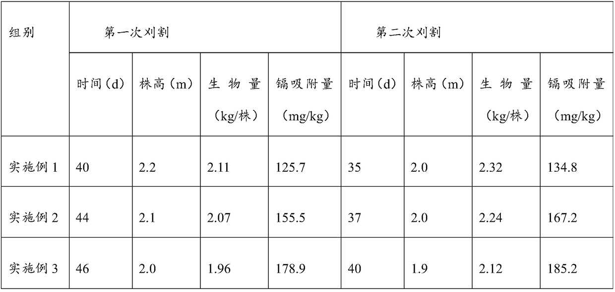 Method for restoring soil heavy metal cadmium pollution