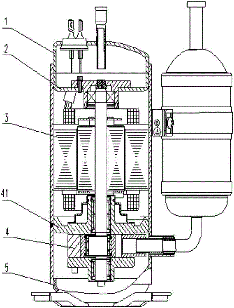 Rotor type compressor suitable for high-speed rotation