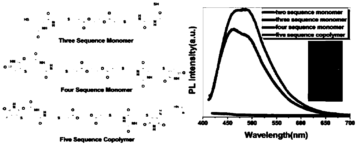 A kind of preparation method of atypical fluorescent material succinimide derivative