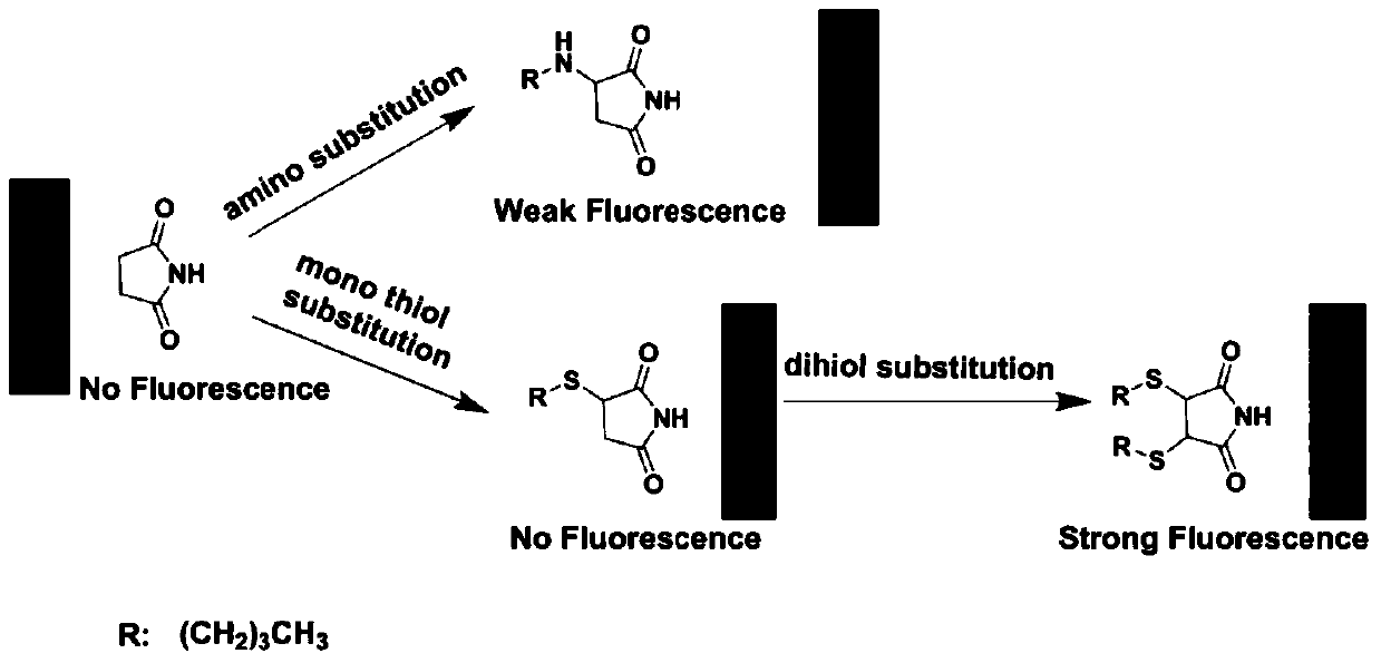 A kind of preparation method of atypical fluorescent material succinimide derivative