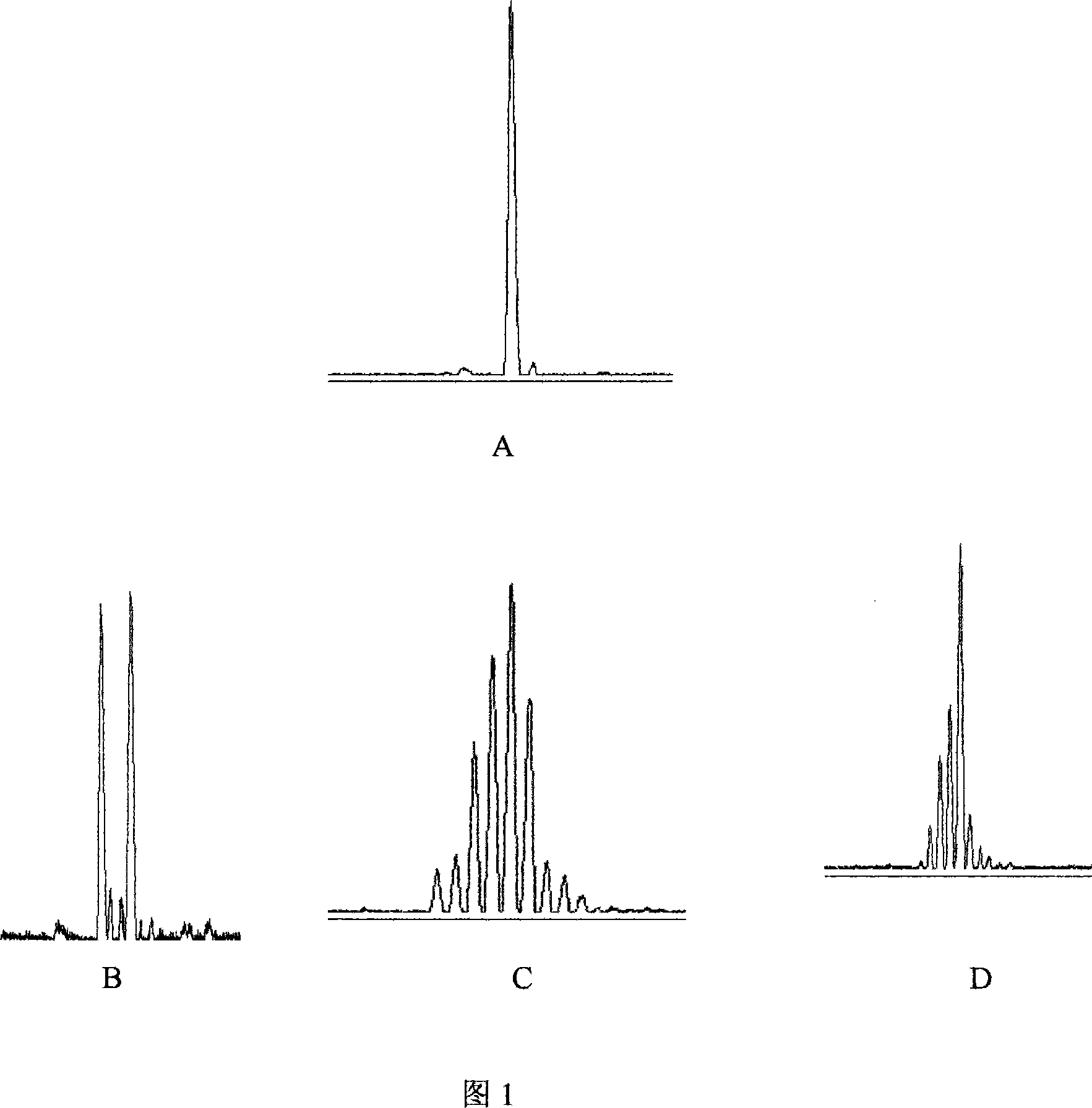 Y gene order of diffused large B cell lymphoid tumor related antigen specific TCR V Beta 13 subfamily