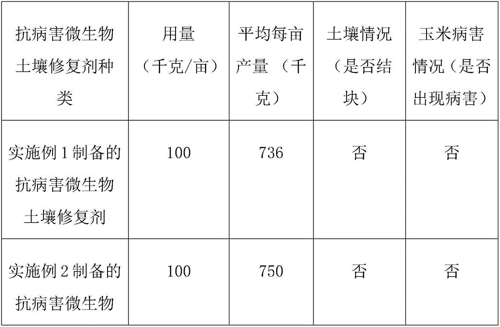 Disease-resistant microbial soil remediation agent and preparation method thereof