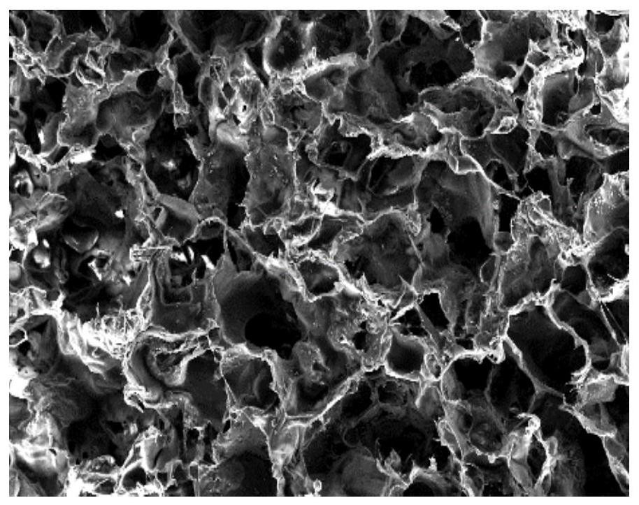 Multi-adsorption biodegradable foam with oil-water separation function