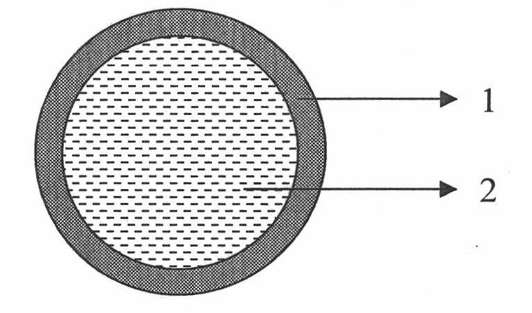 Microbe inoculator with boron nitride film coating and preparation method thereof