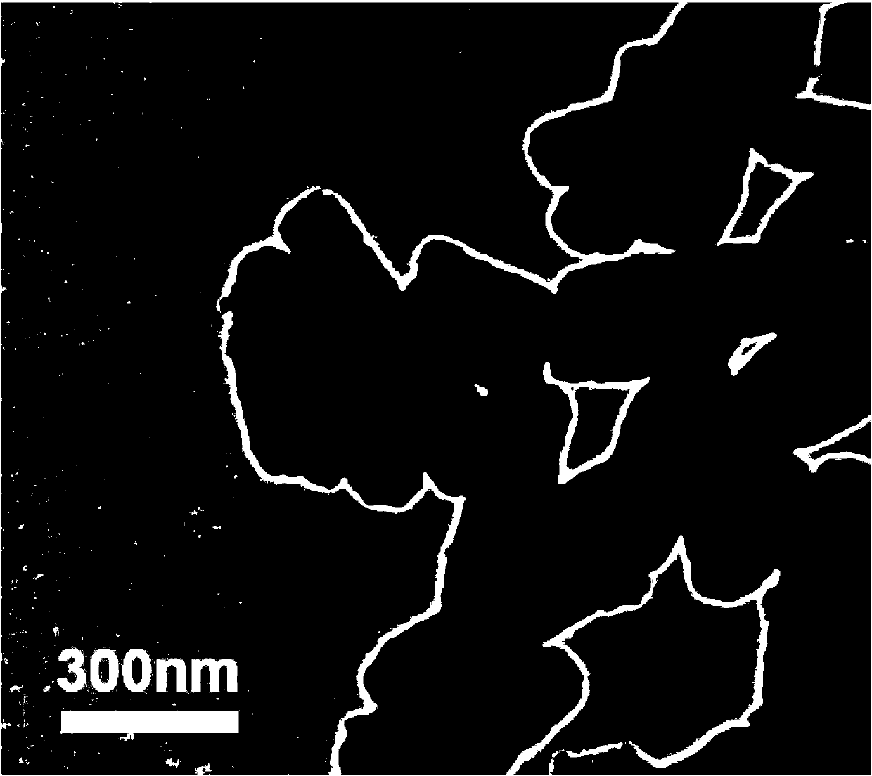 One-dimensional nitrogen-doped double-layer carbon shell/sulfur composite positive electrode material for lithium-sulfur battery and preparation method thereof