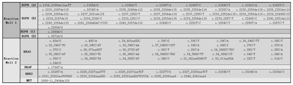 Detection method and kit for lung cancer gene mutation sites