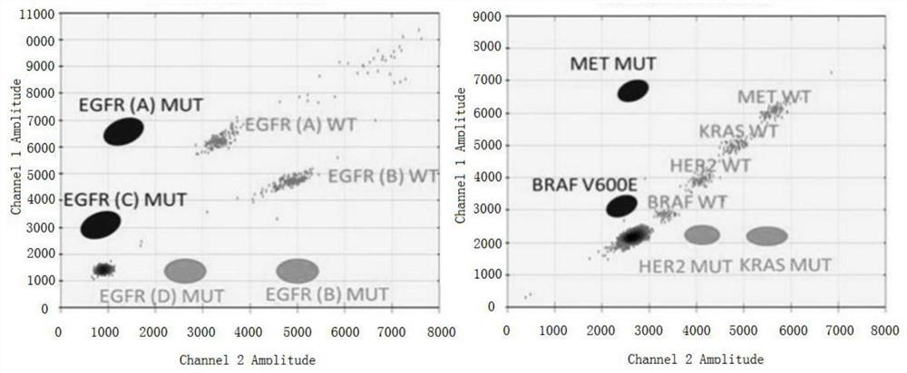 Detection method and kit for lung cancer gene mutation sites