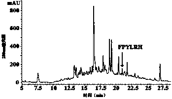 Miichthys miiuy air bladder antioxidation peptide and application thereof