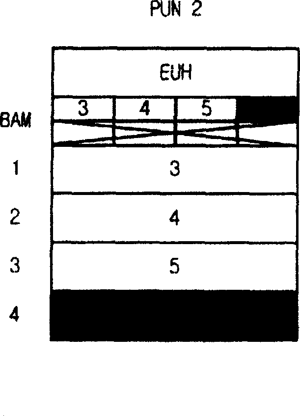 Flash memory access apparatus and method