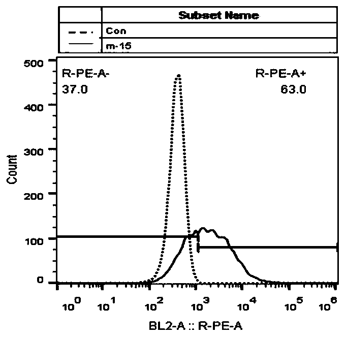 Chimeric antigen receptor and application thereof