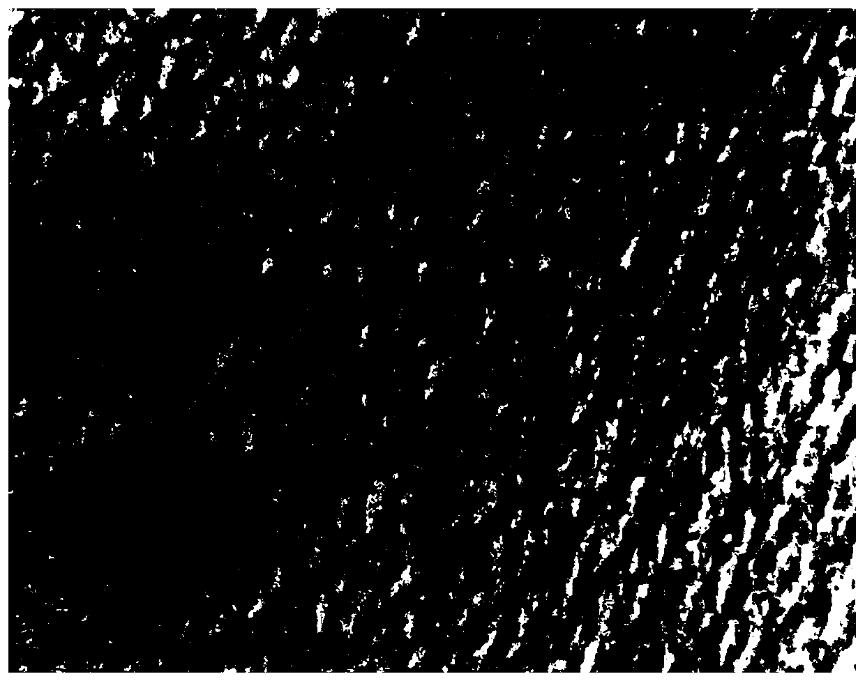 Preparation method of functional ceramic brick with high simulation 3D digital spray glaze three-dimensional pattern effect