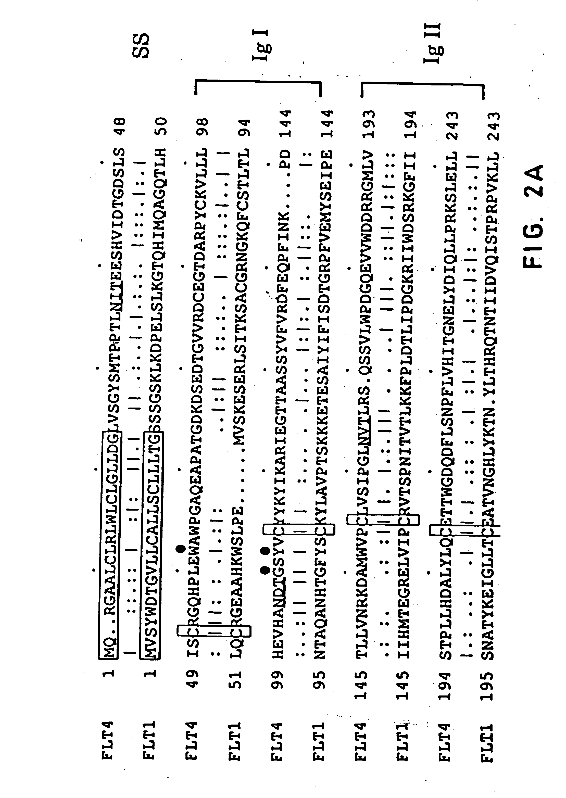 Flt4 (VEGFR-3) as a target for tumor imaging and anti-tumor therapy