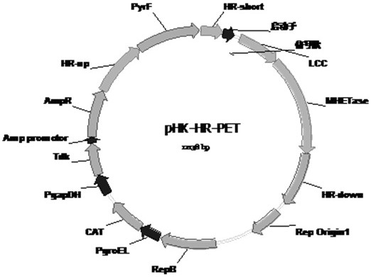 PET degradation biocatalyst and its application