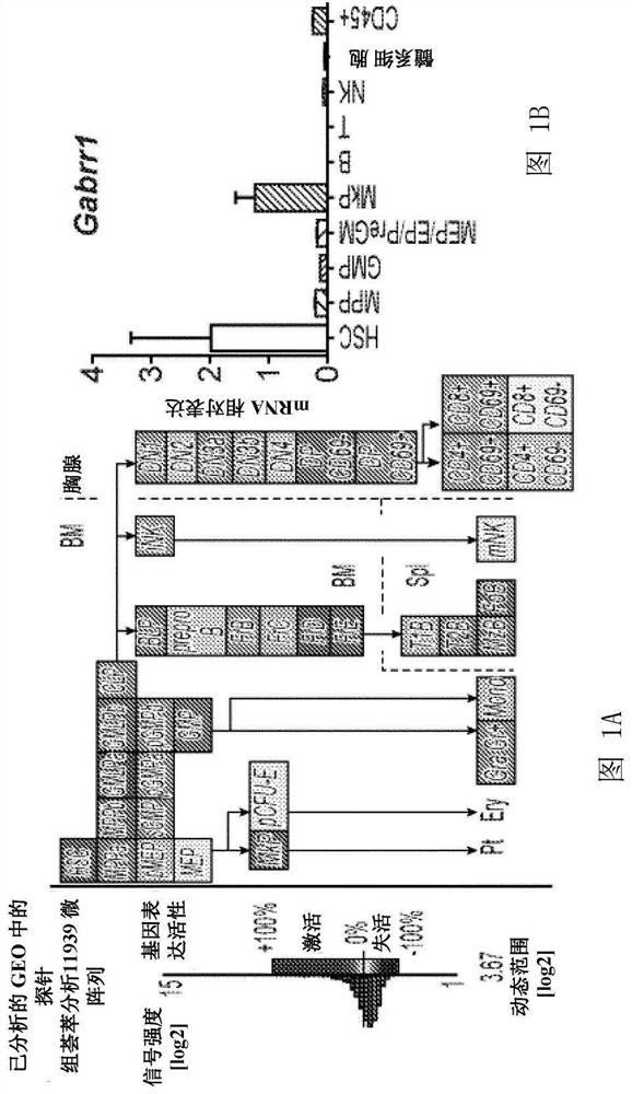 GABA agonists and antagonists to affect differentiation of hematopoietic stem cells and megakaryocyte progenitors