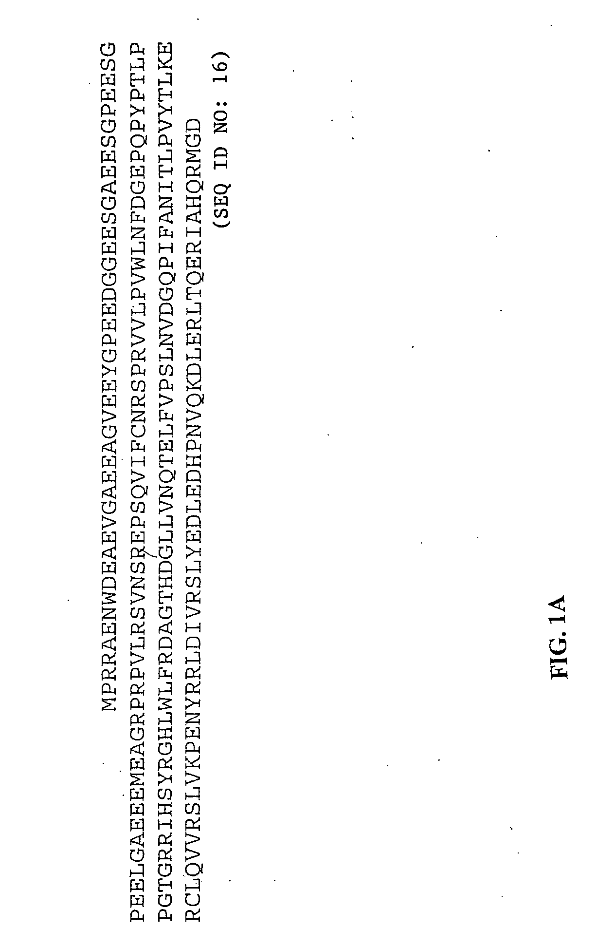 Interaction between the VHL tumor suppressor and hypoxia inducible factor, and assay methods relating thereto