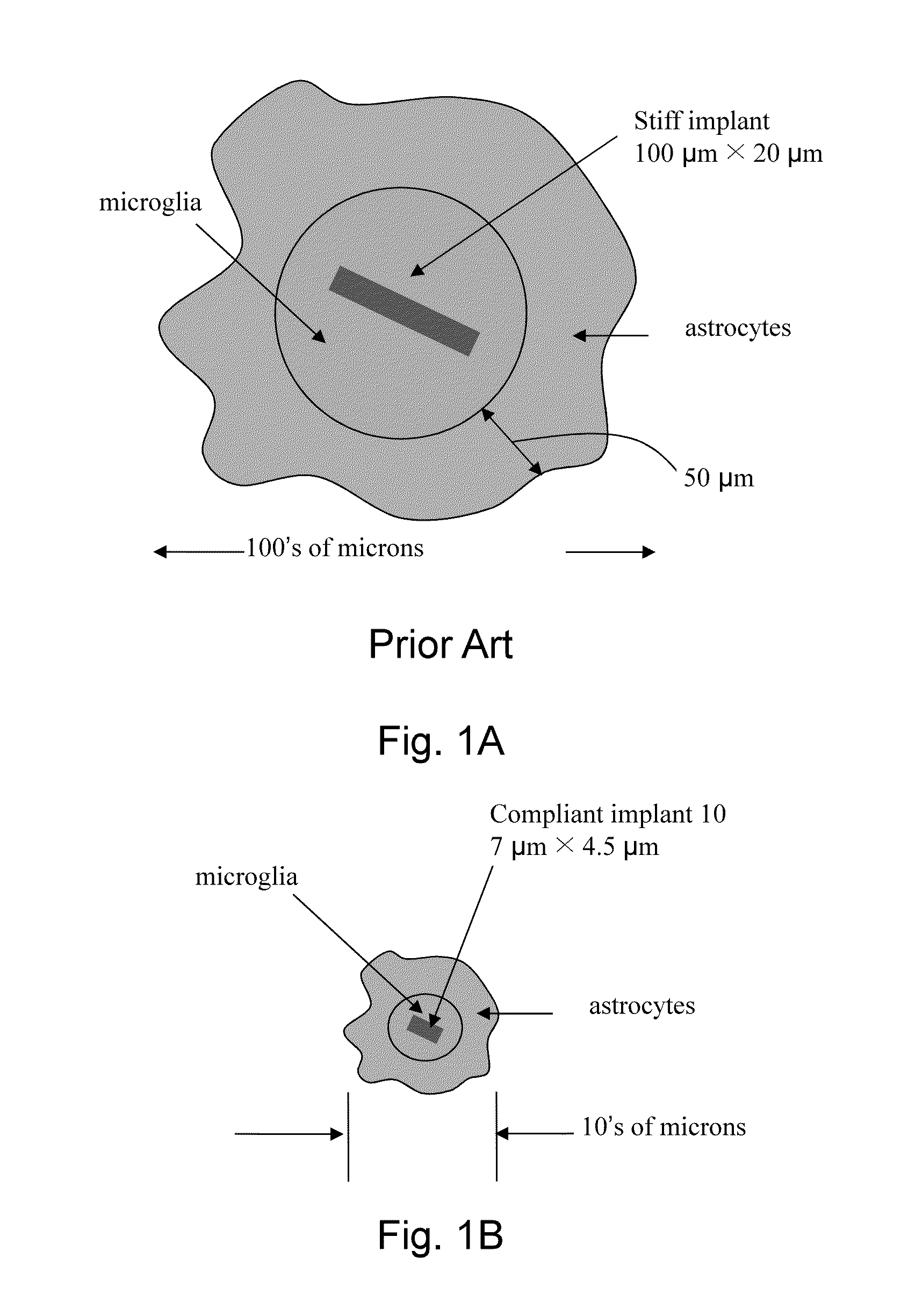 Fabrication, methods, apparatuses, and systems for ultra-compliant probes for neural and other tissues