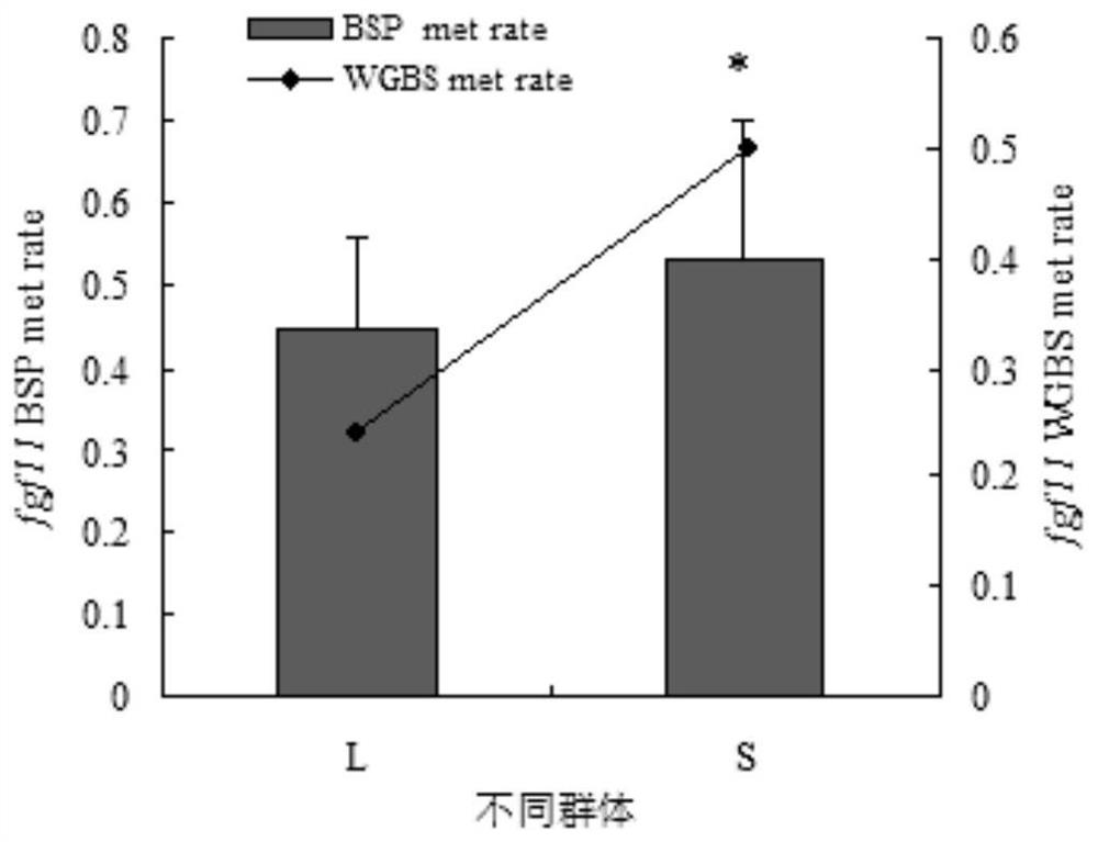 Molecular Markers of DNA Methylation in Large Yellow Croaker and Its Application in Breeding