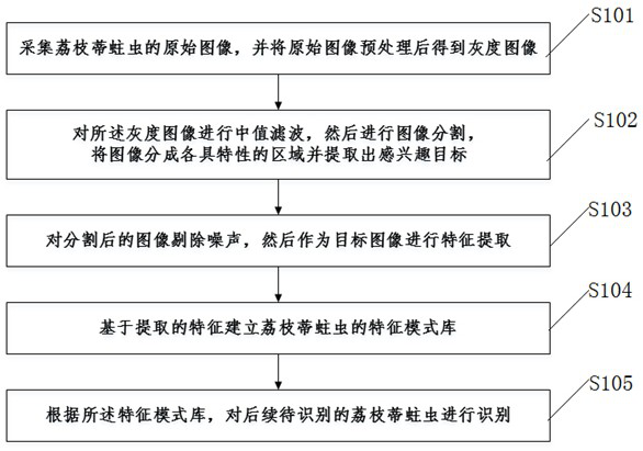 Method and system for monitoring conopomorpha sinensis