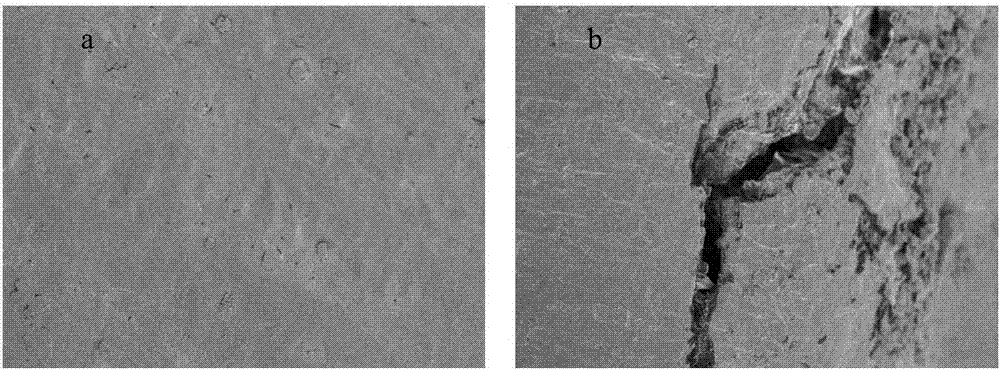 Method for improving edible quality of milled rice by embryo by freezing technique