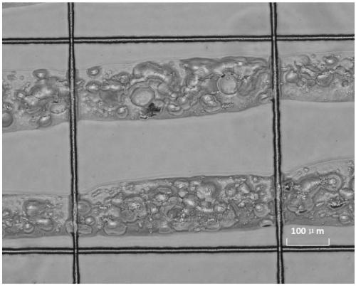 A high-precision biocomposite 3D printing device and printing method