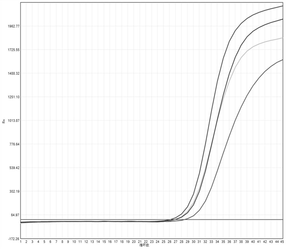 Kit for detecting eight respiratory pathogens including novel coronavirus and application thereof