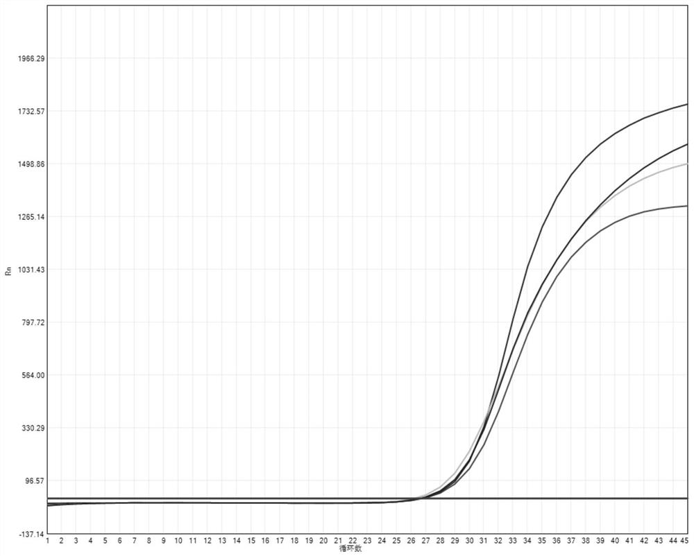 Kit for detecting eight respiratory pathogens including novel coronavirus and application thereof