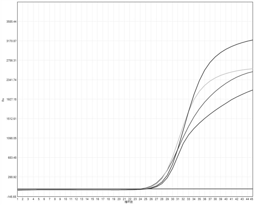 Kit for detecting eight respiratory pathogens including novel coronavirus and application thereof