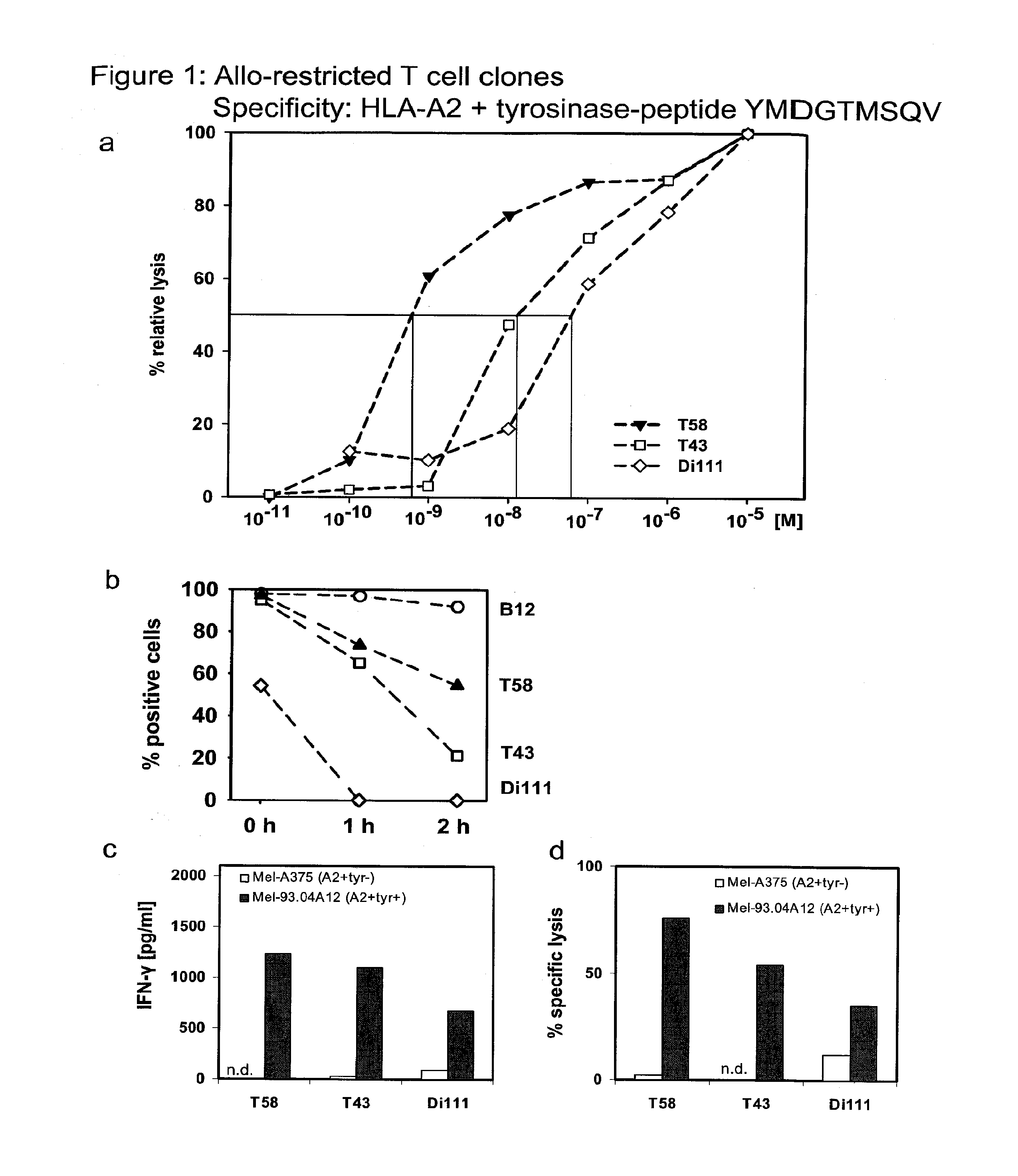 Repertoire of allo-restricted peptide-specific t cell receptor sequences and use thereof