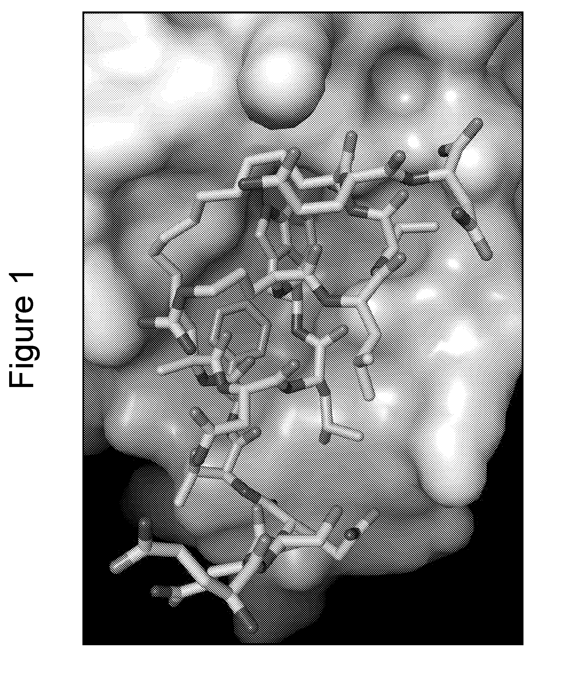 Peptidomimetic macrocycles