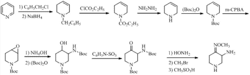 Preparation method of 3-amino-4-alkoxyimino piperidine