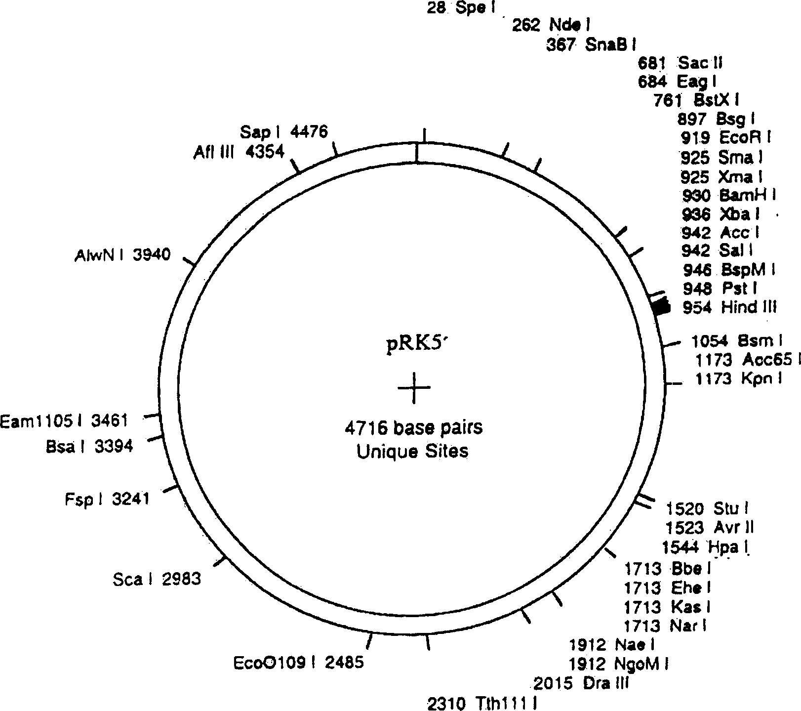 SiRNA and expression plasmid for inhibiting human bc1-2 gene expression and their use for preparing medicine