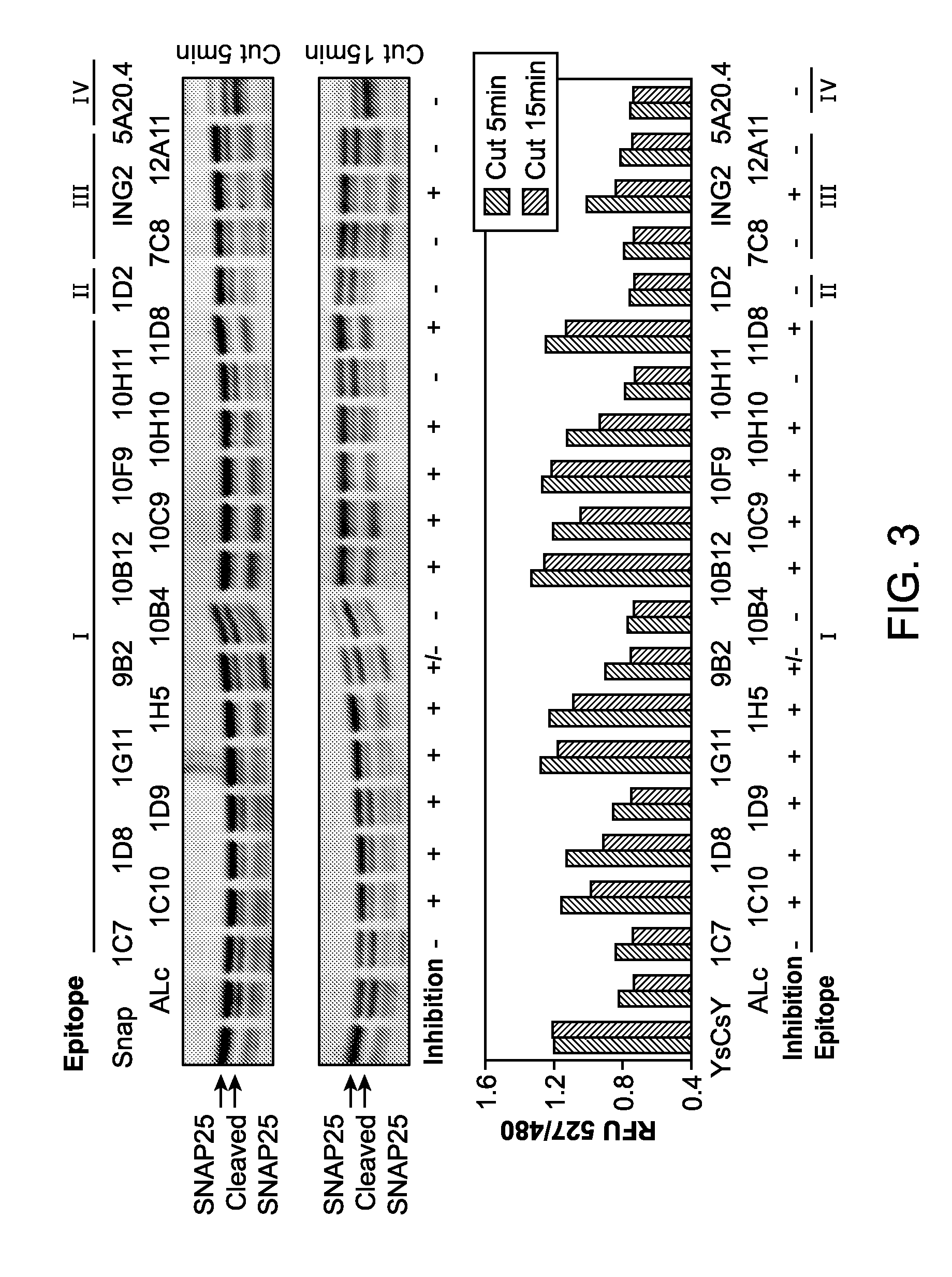 Antibodies for botulinum neurotoxins