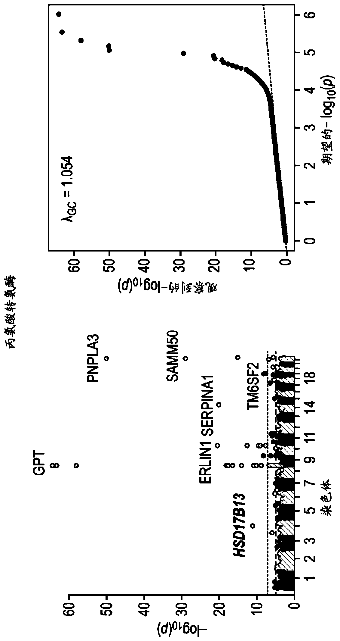 Hsd17b13 variants and uses thereof