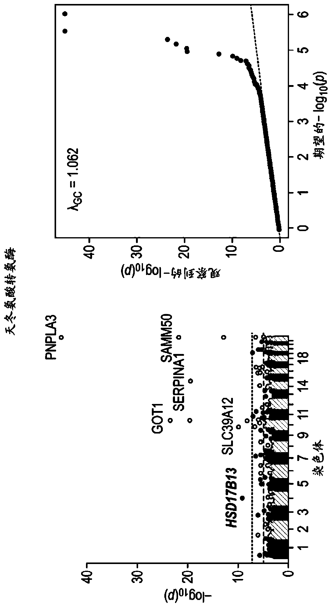 Hsd17b13 variants and uses thereof