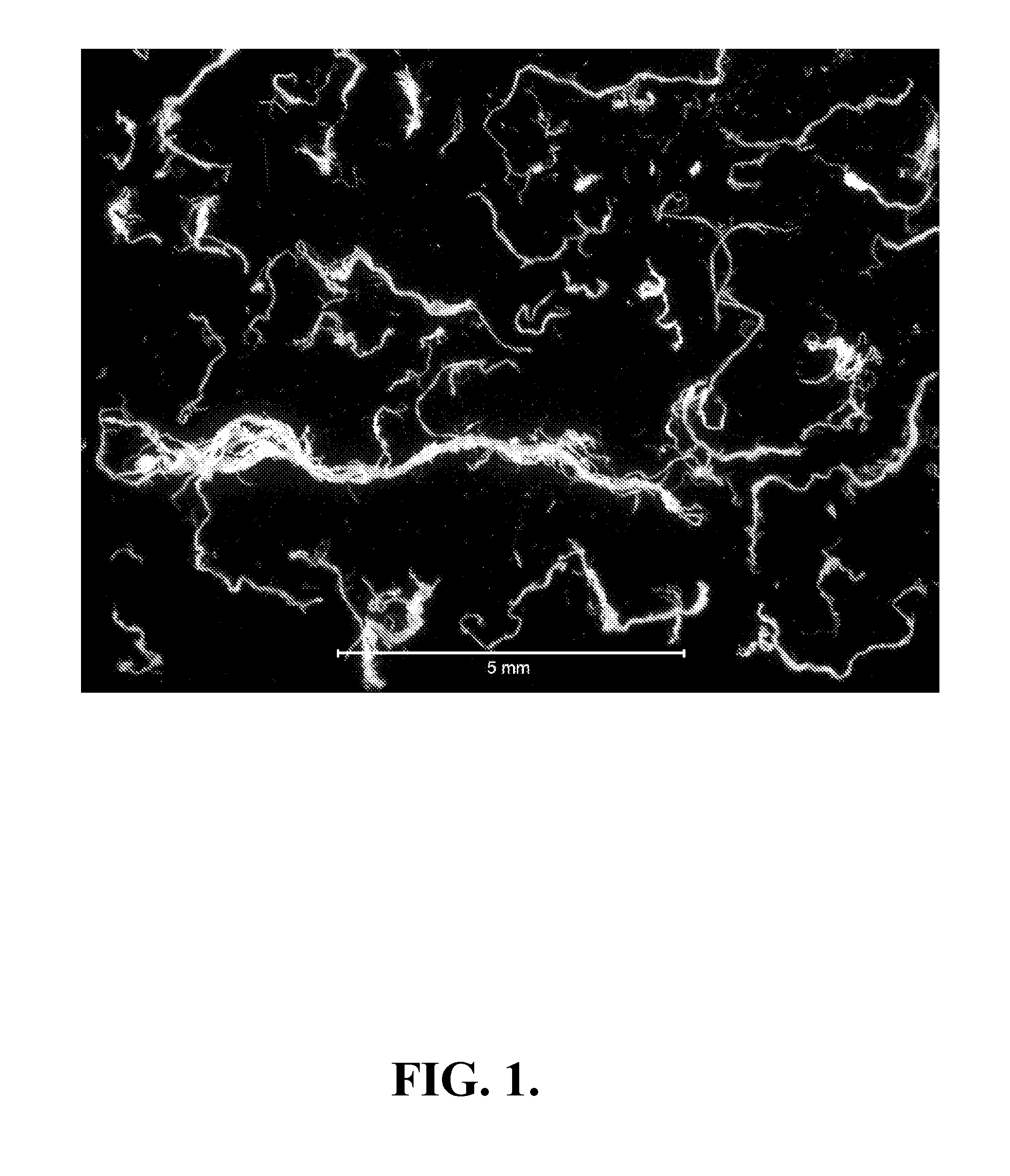 Mixed polymer superabsorbent fibers containing cellulose