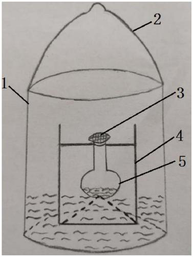 Attractant and attracting device for vegetable pest, namely frankliniella occidentalis