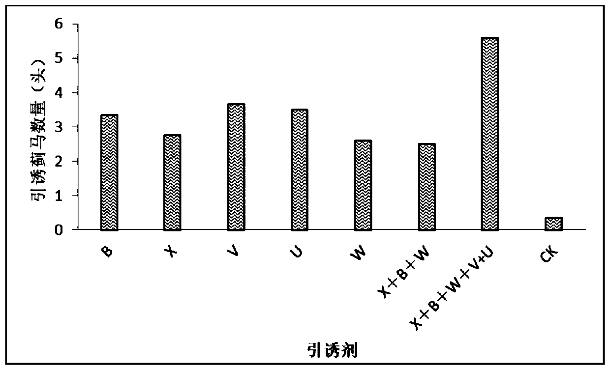 Attractant and attracting device for vegetable pest, namely frankliniella occidentalis