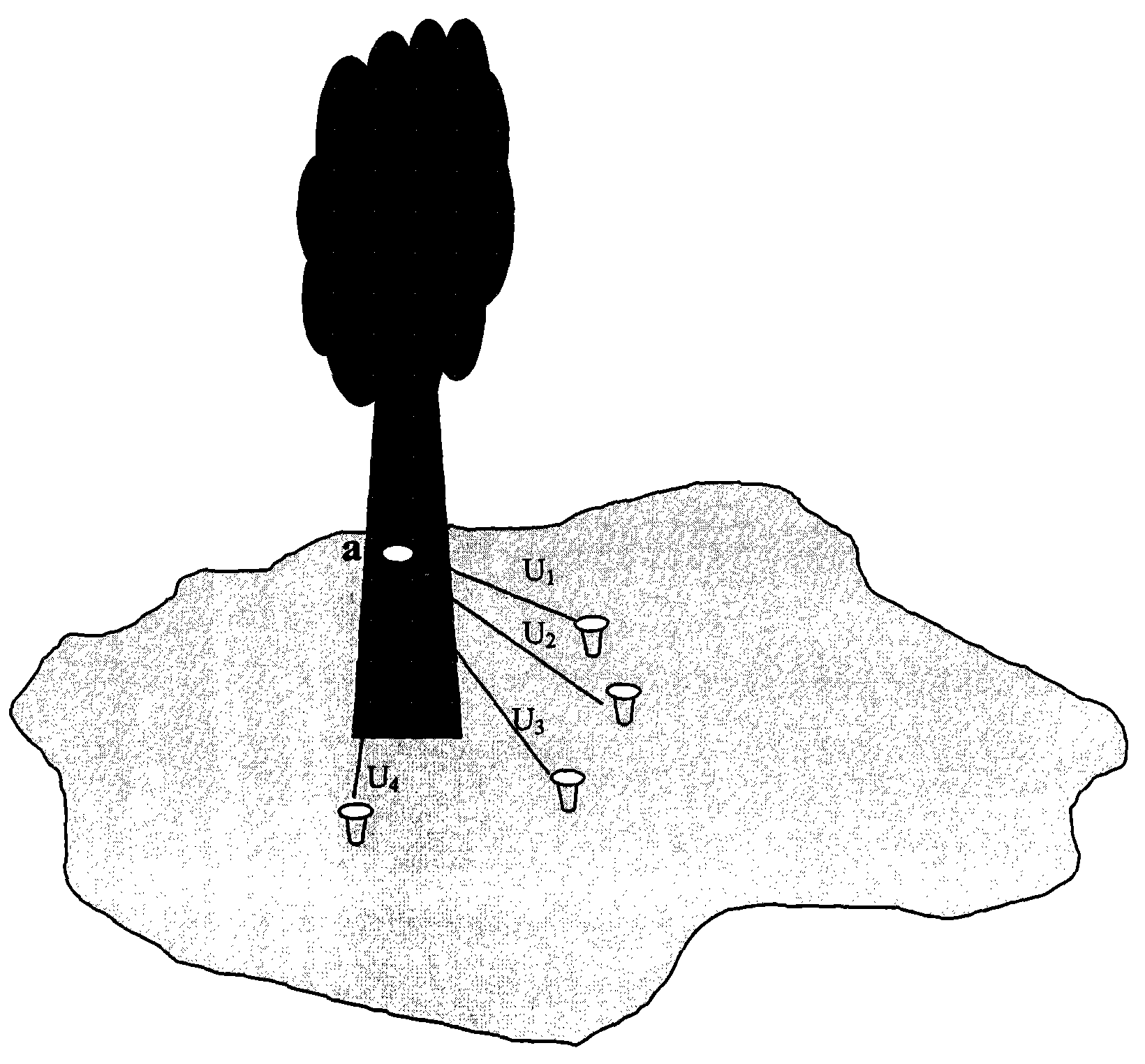 Forest environment energy collection method